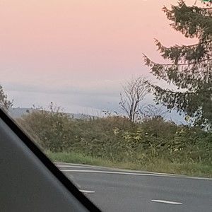 Meet your Posher, Dalilah